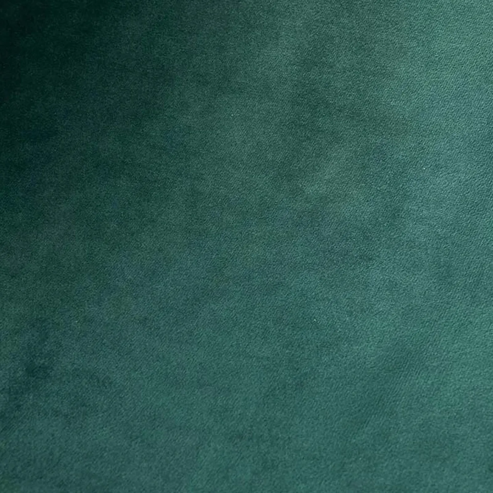 Garnero Arredamenti Sedie In Tessuto-Sedia sala da pranzo imbottita in velluto acciaio oro nero Nubia Verde