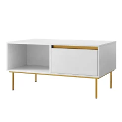 Garnero Arredamenti Tavolini Moderni|Tavolini Moderni-Tavolino da salotto 100x50cm 1 anta bianco oro Praga Bianco Opaco - Oro