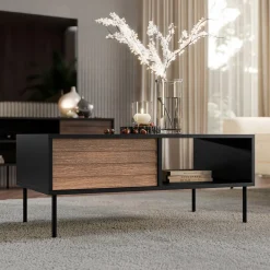 Garnero Arredamenti Tavolini Moderni|Tavolini Moderni-Tavolino da salotto 100x55cm con vano noce nero Wild Noce - Nero opaco